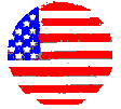 [USA icon]
